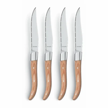 4-pcs Steak Knife Set