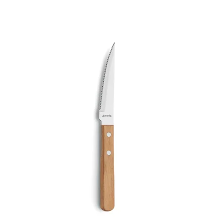 Steak Knife micro serration